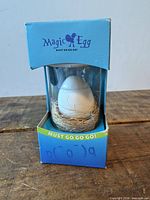 Front view showing Magic Egg in clear tube within blue box