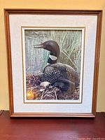 Front view of framed loon photograph