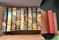 Row of nine Tarzan hardcovers with dust jackets plus two red cloth volumes