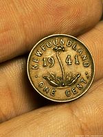 Reverse of 1941 Newfoundland one cent coin showing pitcher plant design, date and denomination
