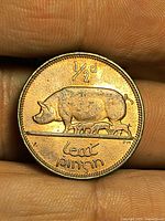 Reverse of 1953 Irish half penny showing sow with piglets and ½d value