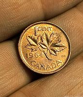 Reverse of 1964 Canada 1 cent coin showing maple leaves and date