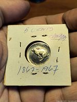 Coin reverse showing rabbit design in 2×2 holder