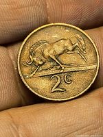 Reverse of 1970 South Africa 2 cent coin showing charging wildebeest and denomination