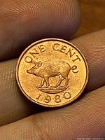 Reverse of 1980 Bermuda one cent coin showing hog design and denomination