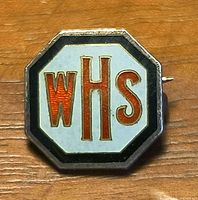 Front view of octagonal enamel WHS pin on wood surface