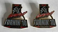 Front view of both identical Gateway Raceway VIP pins