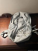 Front view showing bungee cord, logo, overall color