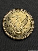 Reverse showing loon, 2026 date, Lucky Loonie inscription