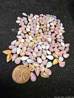 Group of opal teardrop cabochons beside coin for scale