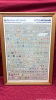 Full view of framed poster showing stamp grid and title