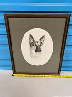 Full view of framed German Shepherd portrait with measuring tape for scale
