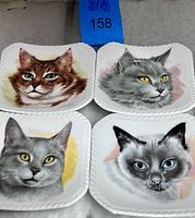 Front view showing all four cat portrait plates