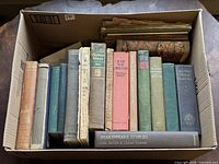 Overall view of box showing full assortment of vintage books