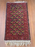 Full view of rug showing overall design and fringe