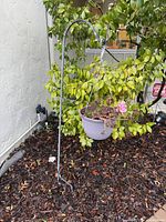 Full view of metal hook stand inserted in soil with plastic hanging pot