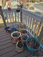Group of assorted pots, stakes and containers on deck