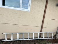 Full view of aluminum extension ladder leaned against wall