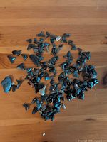 Overview of entire collection of fossil shark teeth on wood surface
