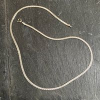 Full view of sterling silver neck chain laid flat