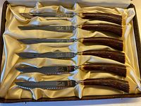 Open box showing six knives in satin interior