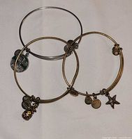 All three Alex and Ani bracelets arranged together