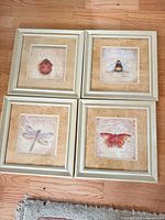 Set of four framed insect prints laid out on floor