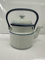 Front angled view showing full teapot with lid and handle
