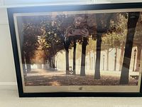 Framed "Autumn in Paris" print showing full frame and image