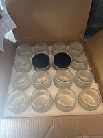 Box showing 16 glass jars arranged in foam insert