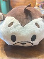 Front view showing Chip's face and overall shape