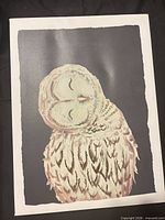 Front view of owl canvas print