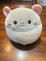 Front view showing embroidered face and overall condition