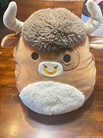 Front view showing face, horns, tuft, muzzle