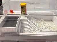 Overall view of clear plastic habitat with accessories in place