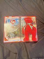 Front view of sealed Osito Teenie Beanie blister pack showing bear and card