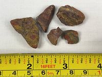 Five poppy jasper specimens on measuring tape for scale