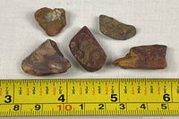 Group of five poppy jasper stones with measuring tape for scale