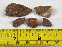 Five poppy jasper pieces aligned beside metric tape for scale