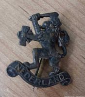 Front view of metal lapel pin with Dutch lion and Nederland scroll