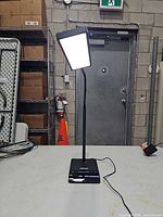 Lamp illuminated, full view