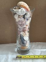 Full view of tall clear vase packed with shells, tape measure shows height