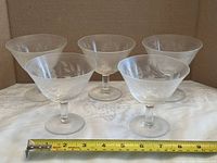 Front view of all five etched glasses with ruler for scale