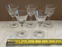Front view of five matching etched glasses with measuring tape showing scale