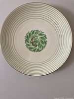 Full front view of plate showing pattern and concentric rings