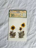 Front view of sealed pressed flower sheet in packaging