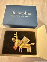 Pin in open box with lia sophia lid visible