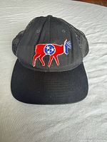 Front view showing full cap and embroidered Tennessee deer graphic