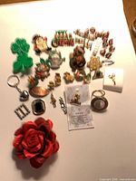 overview of entire assortment of pins, brooch, scarf clip and keychain