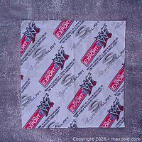 Full view of square WWE SummerSlam 2001 scarf laid flat